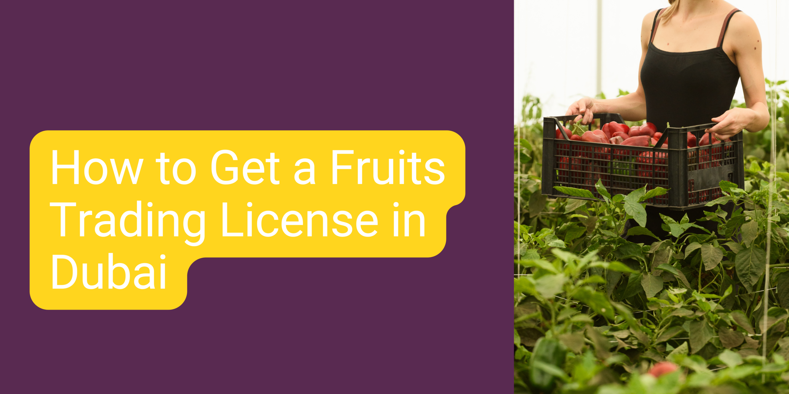 Fruits Trading License in Dubai