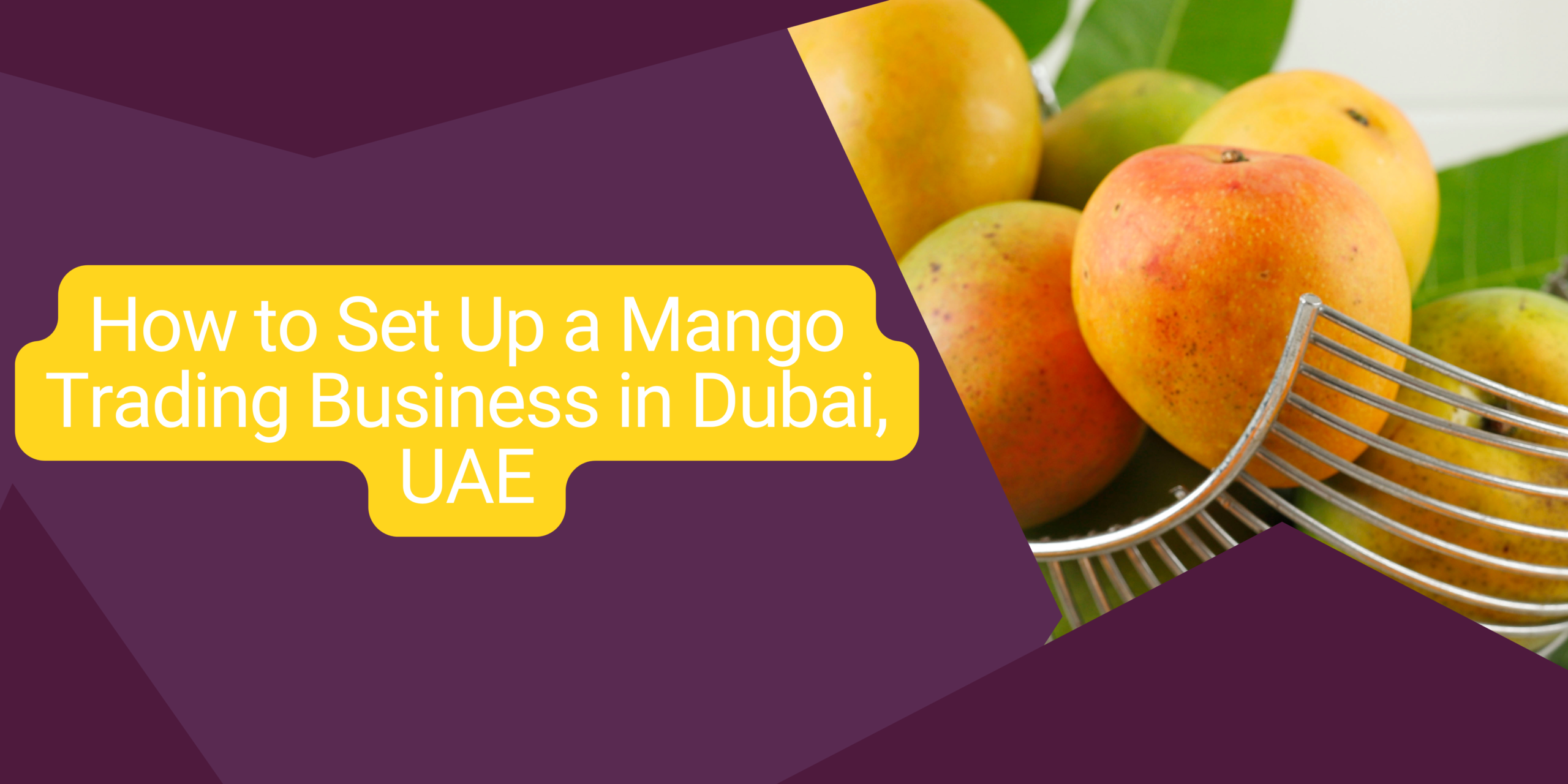 Mango Trading Business in Dubai