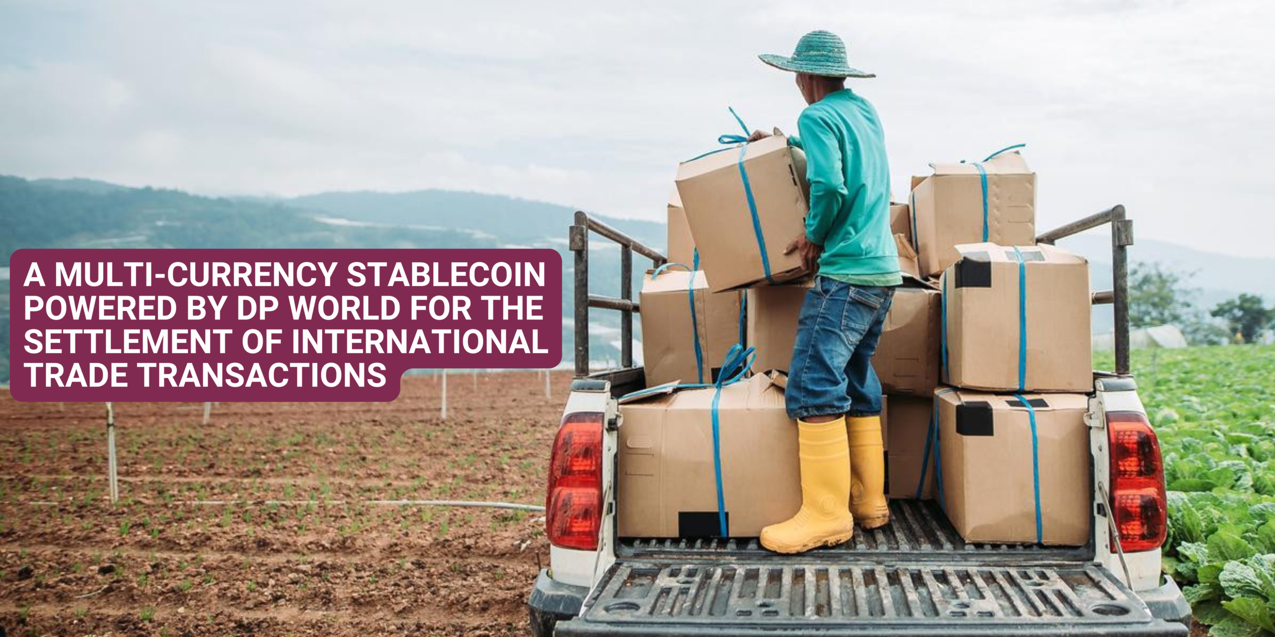 A Multi-currency Stablecoin Powered by DP World for the Settlement of International Trade Transactions