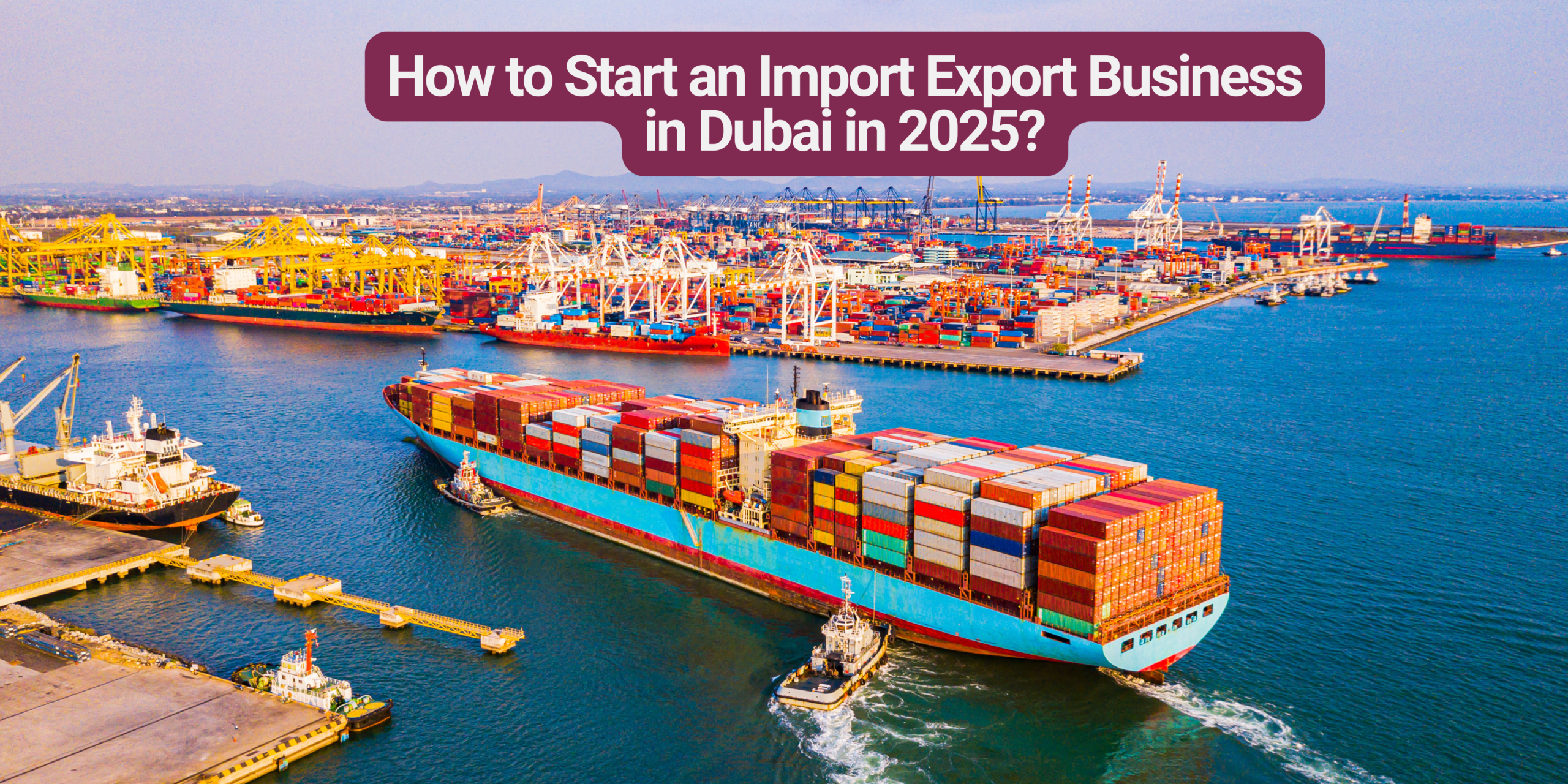 How To Setup Import Export Business in Dubai