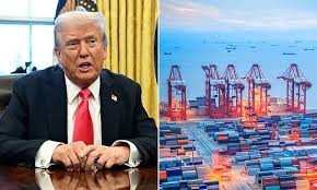 Dubai Free Trade Zones Poised to Thrive Amid Trump Tariffs, Say Industry Leaders