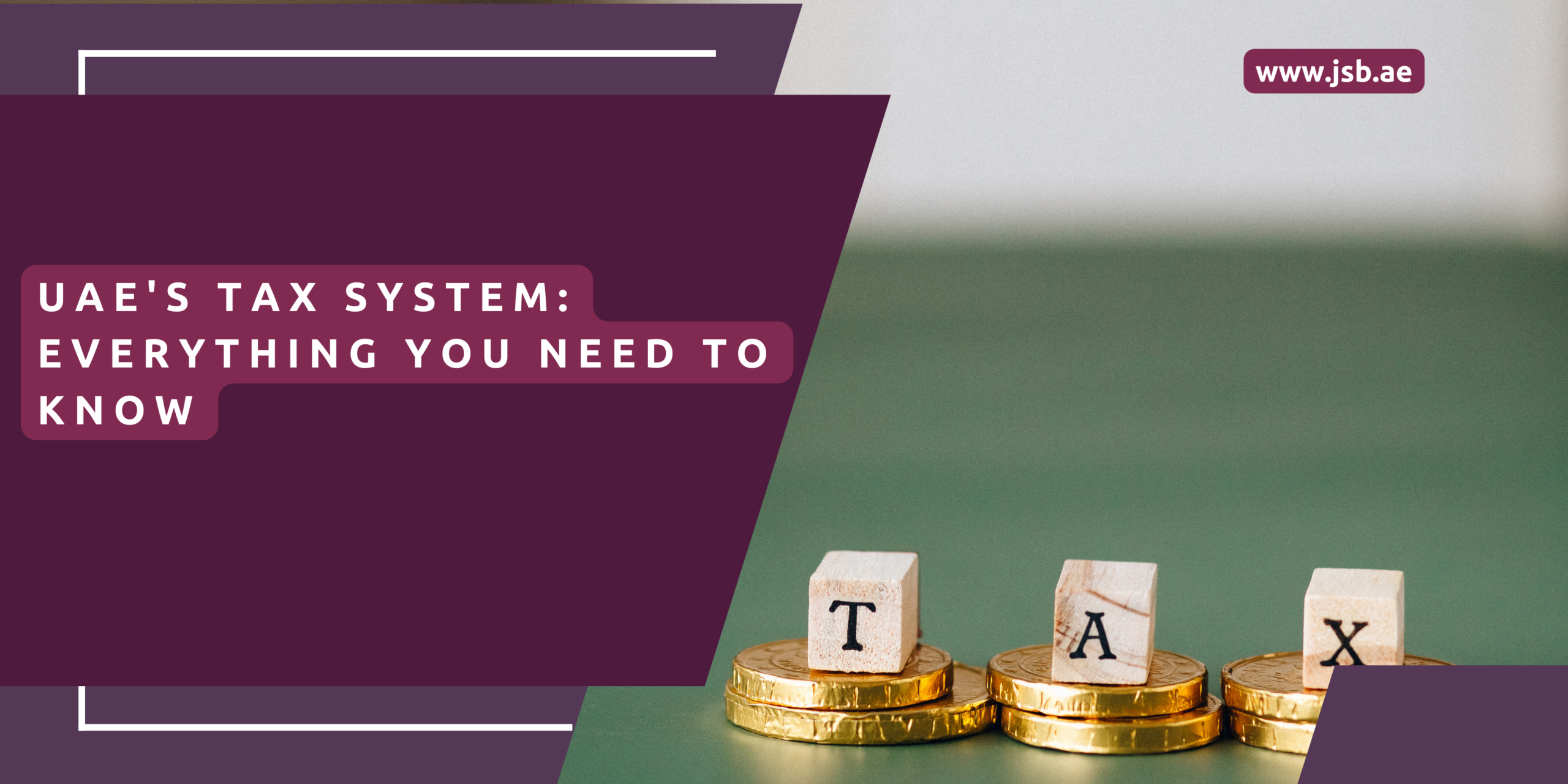 UAE's Tax System Everything You Need to Know